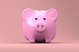 Piggy Bank Budget Home Improvements