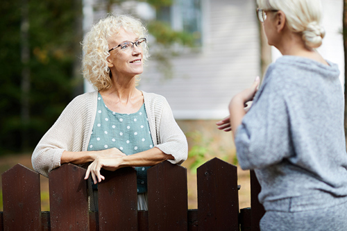 Consult with neighbours