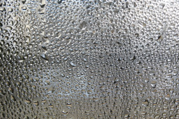 Condensation Bathroom