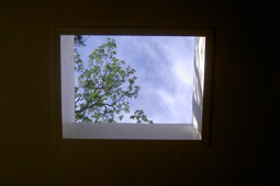 Rooflight