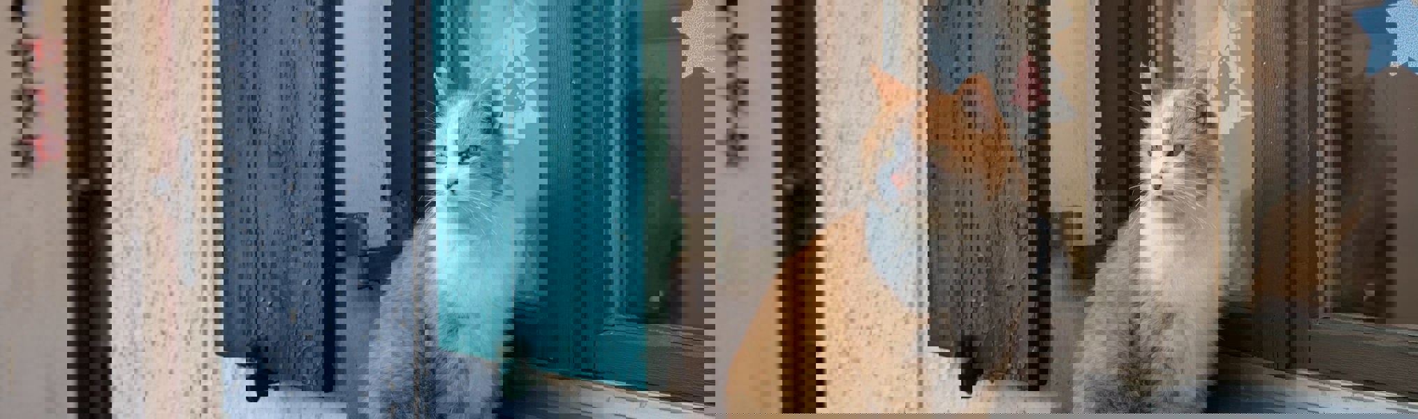 Agent J Vz7 Abzsc4w Unsplash