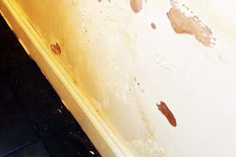 What issues can occur with a failed damp-proof membrane DPM?