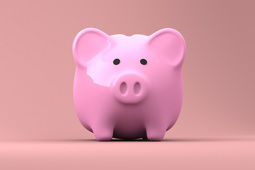 Piggy Bank Budget Home Improvements