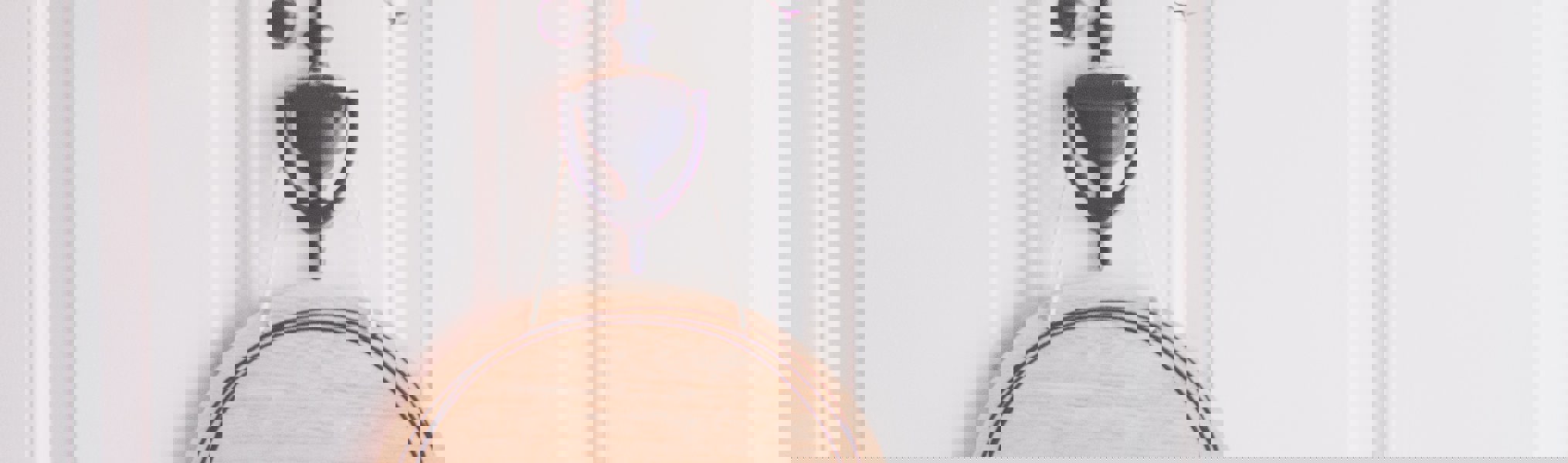 Pexels Jessica Lewis Creative 1652402