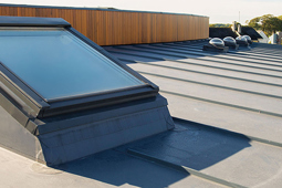 Flat Roof Window 1