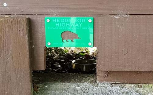 Hedgehog highway image - hole in fence