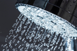 Shower Head 1100