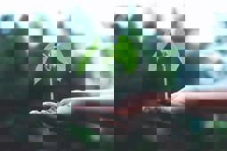 Pexels Akil Mazumder 1072824