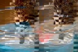 Carolien Van Oijen E5hmmwbknoq Unsplash