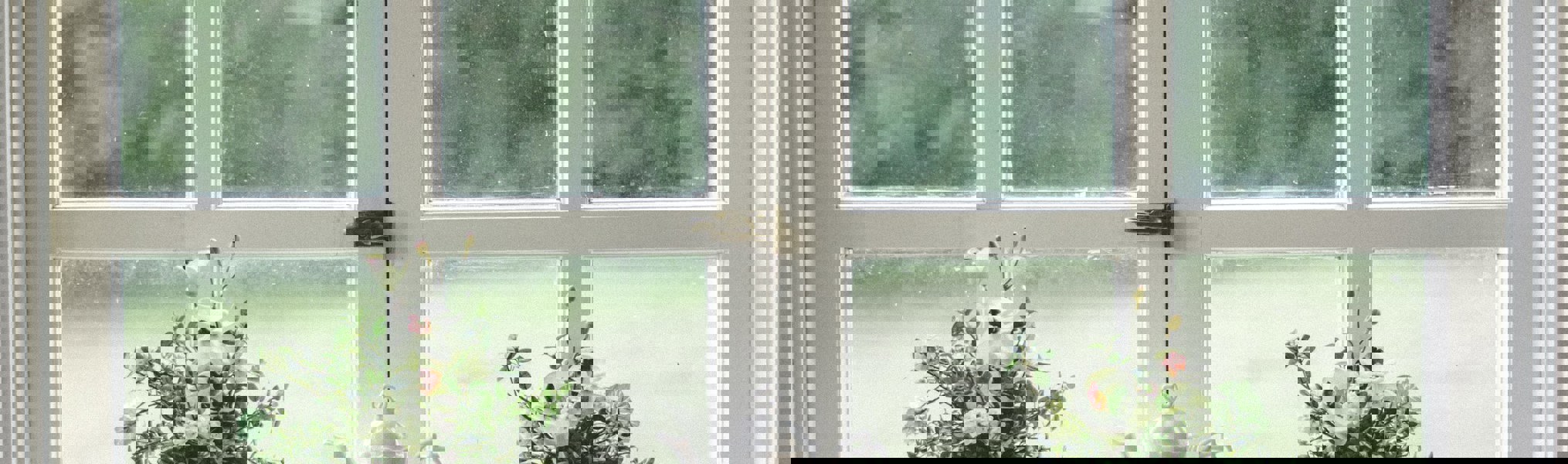 building regulations application