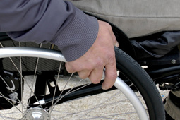 Access Wheelchair Conservatory