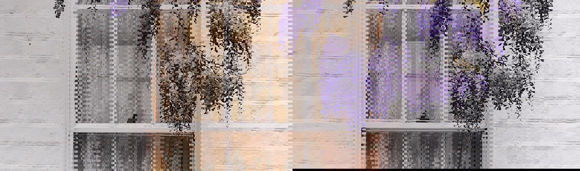 13.01.22. Front Door Blogpostpexels Nadi Lindsay 2252182