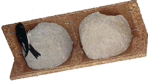 NHBS house martin nests