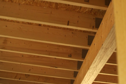 Ceiling Joists